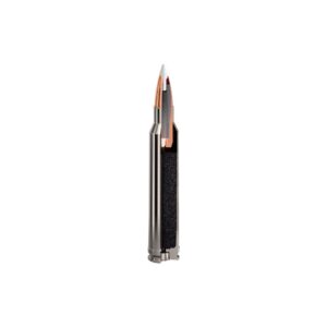 Sig Sauer Platinum Hunter Accubond Rifle Ammunition .300 Win Mag 180gr PT 3000 fps 20/ct
