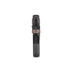Sig Sauer P365 Rose Handgun .380 ACP 10rd Magazines (2) 3.1" Barrel Black with Romeo-RS